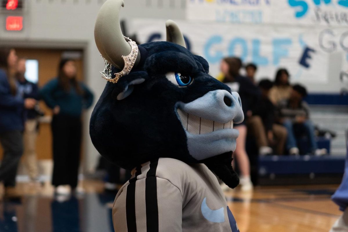 Major the Maverick was captured wearing the prom tiara during the Senior Pep Rally. 