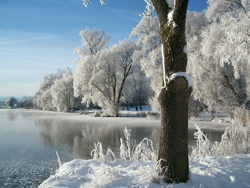 Winter is beautiful, especially when frost shimmers on the ground and ponds are frozen over with shards of reflecting ice. Photo credit: Pixabay