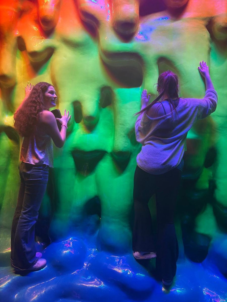 Lauren Bazan, 12, and Olivia Northcutt, 11, interact with Meow Wolf’s immersive, color-changing slime wall. This colorful exhibit is one of many displays made by local artists in the Dallas-Fort Worth metroplex.