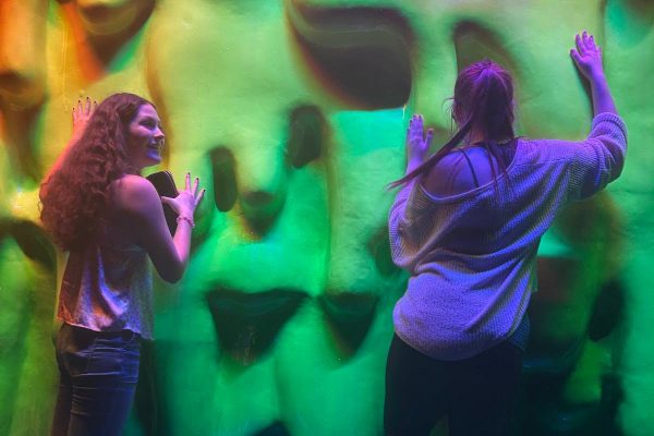 Lauren Bazan, 12, and Olivia Northcutt, 11, interact with Meow Wolf’s immersive, color-changing slime wall. This colorful exhibit is one of many displays made by local artists in the Dallas-Fort Worth metroplex.