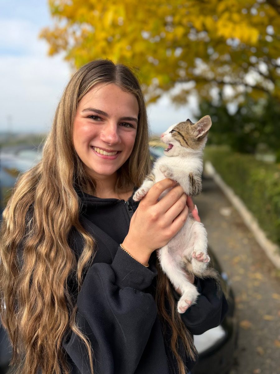 One of the cats from the rest stop was so happy to be played with and pet!
