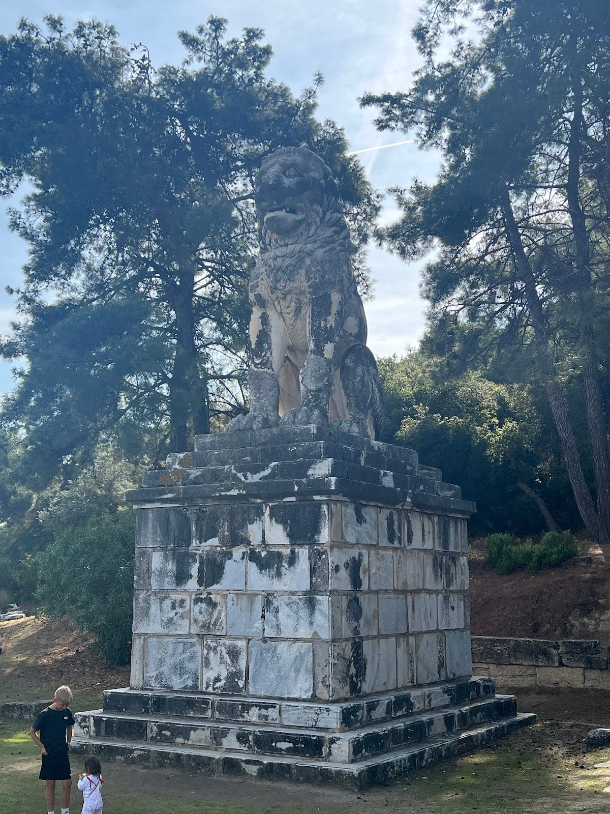 Diary of Greece: Insights and observations