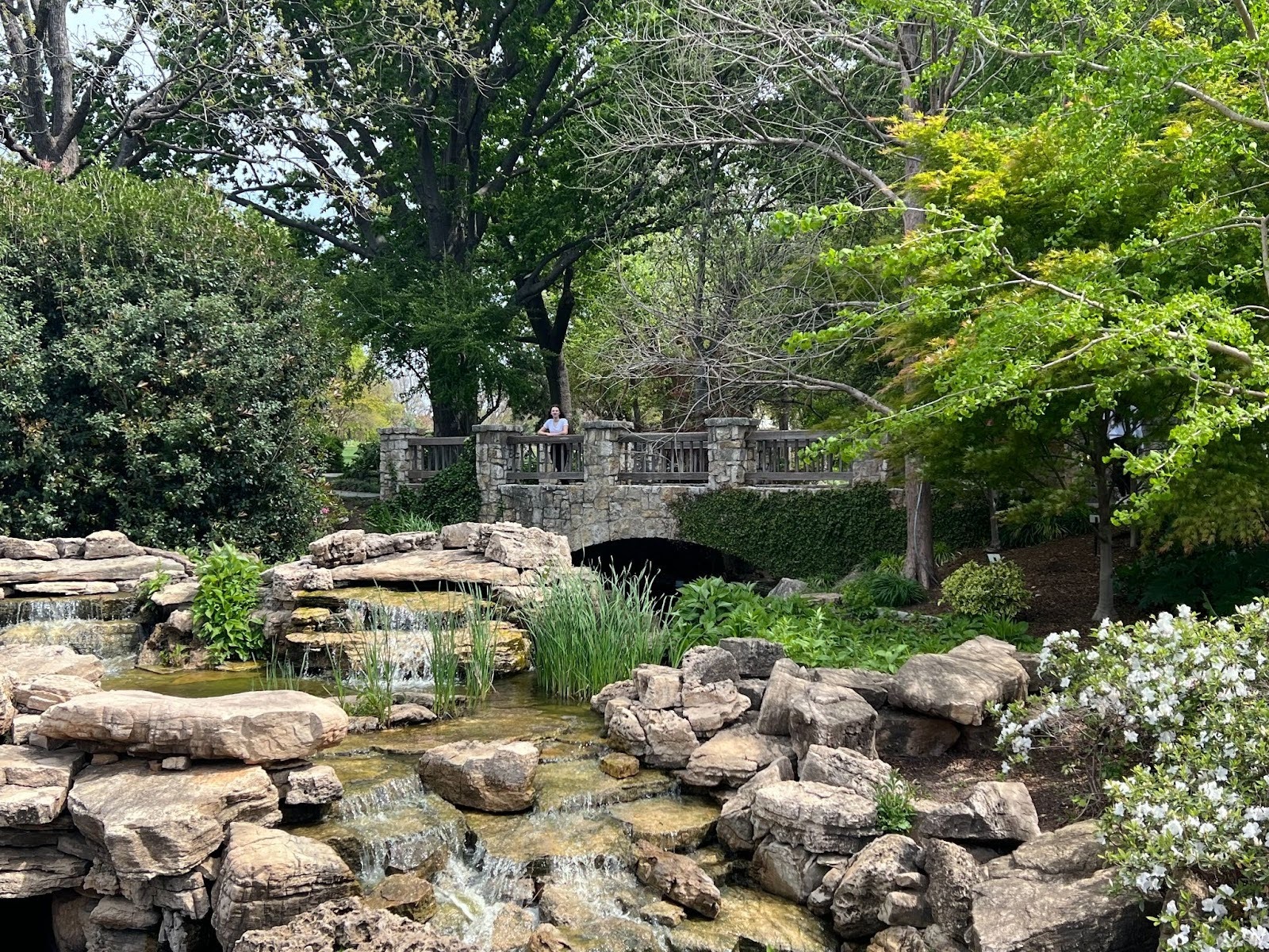 Pictures and plates: Prom photo and dinner spots