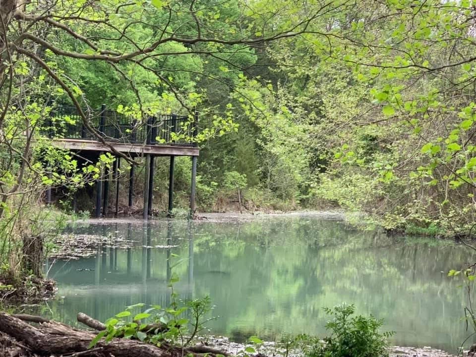 The pond beside Parkside Trail looks like it’s straight out of a Descendants movie!