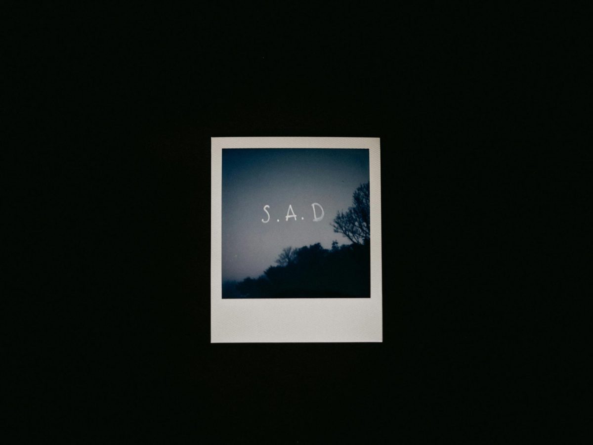 Annie Spratt (Unsplash)
