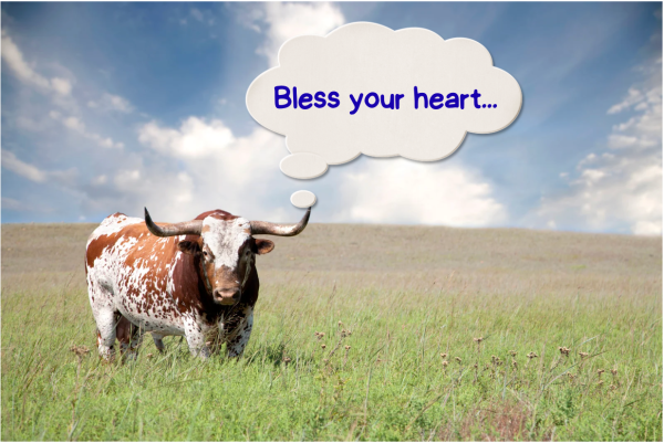 Iconic southern longhorn pitying you (Olivia Northcutt)