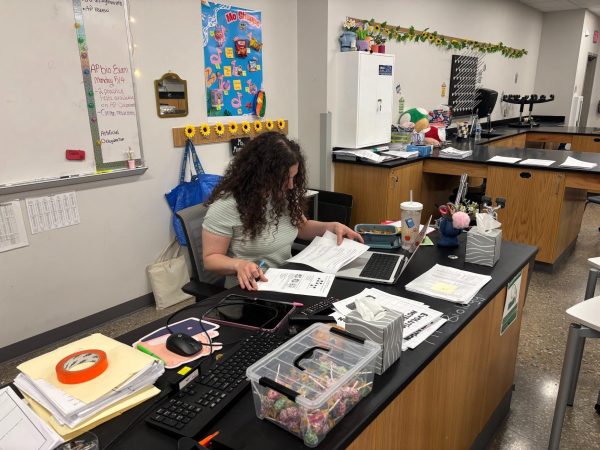 Sayna Monadjemi reviews student exams. (Logan Kelly)